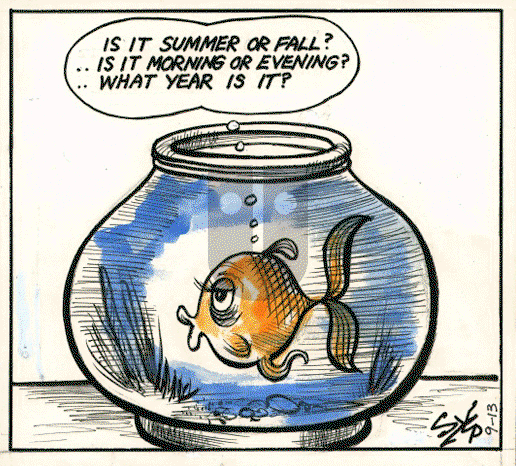 Today's Szep on Wednesday December 28, 2022 Comic Strip