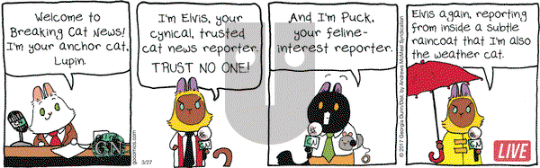 Breaking Cat News on Monday March 27, 2017 Comic Strip