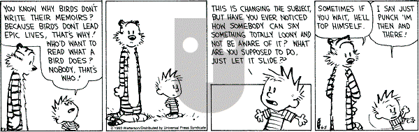 Calvin and Hobbes - Saturday June 5, 1993 Comic Strip