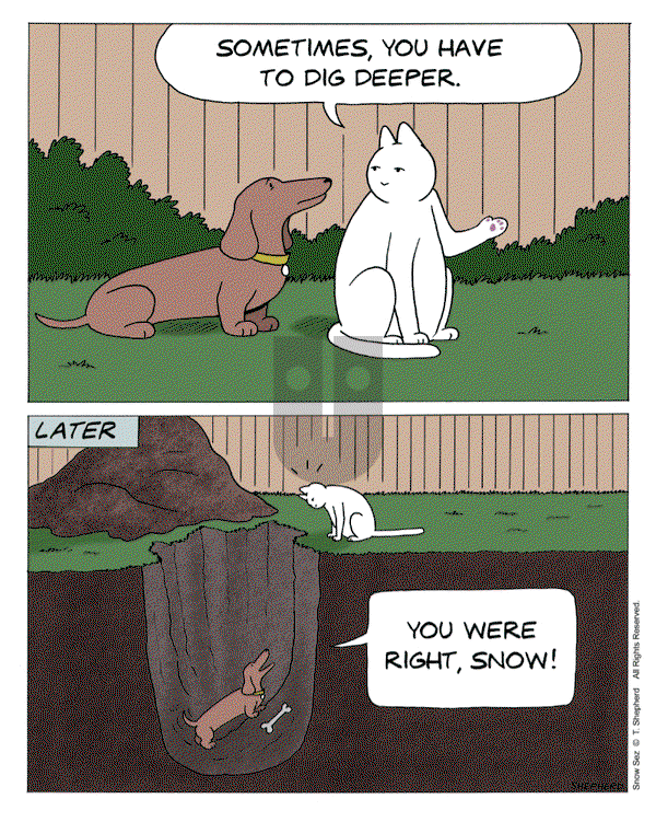 Snow Sez on Monday August 25, 2025 Comic Strip
