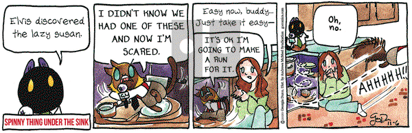 Breaking Cat News on Friday November 6, 2020 Comic Strip