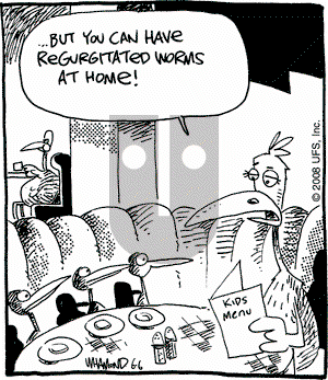 Reality Check on Friday June 6, 2008 Comic Strip