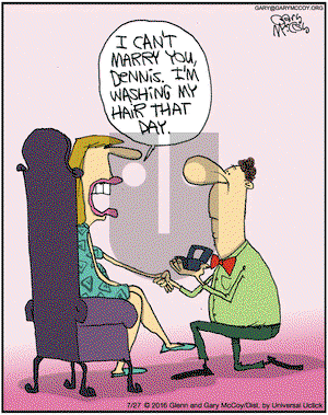 The Flying McCoys on Wednesday July 27, 2016 Comic Strip