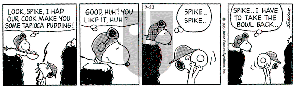 Peanuts on Saturday September 23, 1995 Comic Strip
