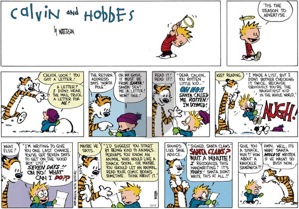 Calvin and Hobbes on Sunday December 17, 1989 Comic Strip