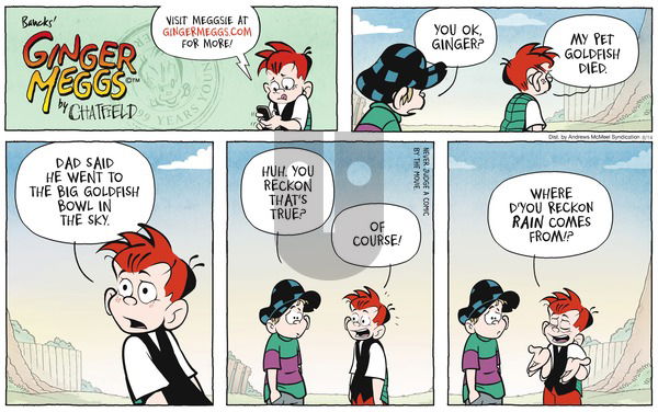 Ginger Meggs - Sunday August 14, 2022 Comic Strip
