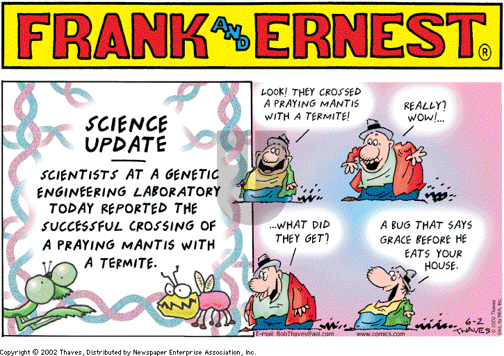 Frank and Ernest on Sunday June 2, 2002 Comic Strip