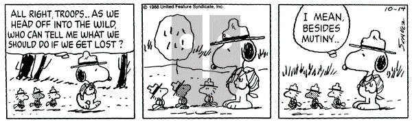 Peanuts on Friday October 14, 1988 Comic Strip