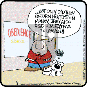 Ziggy - Wednesday March 13, 2002 Comic Strip