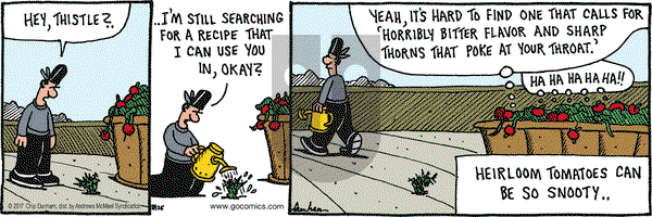 Overboard on Saturday August 26, 2017 Comic Strip