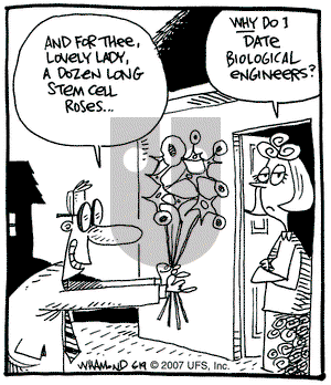 Reality Check on Tuesday June 19, 2007 Comic Strip