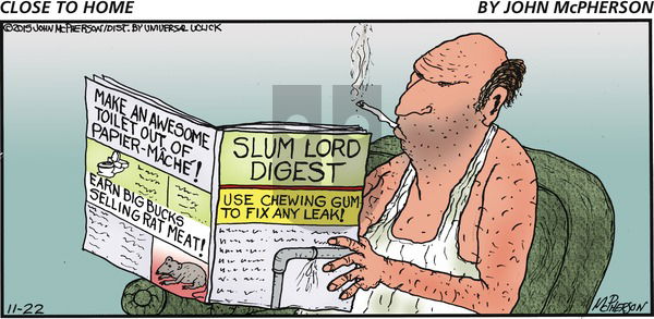 Close to Home on Sunday November 22, 2015 Comic Strip