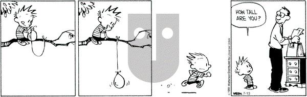 Calvin and Hobbes on Monday July 13, 2015 Comic Strip
