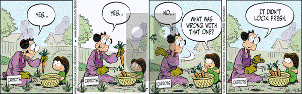 Baldo on Saturday August 12, 2017 Comic Strip