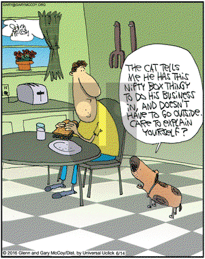 The Flying McCoys on Tuesday June 14, 2016 Comic Strip