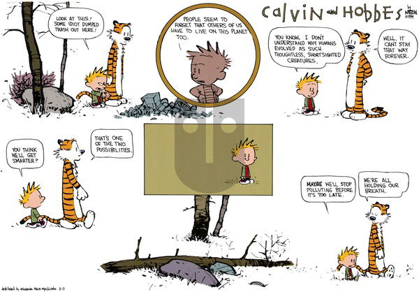 Calvin and Hobbes on Sunday March 13, 1994 Comic Strip