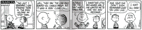 Peanuts on Friday November 25, 1966 Comic Strip