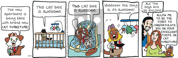 Breaking Cat News on Tuesday May 30, 2017 Comic Strip