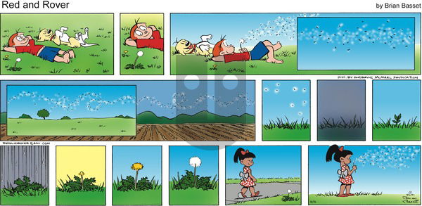 Red and Rover on Sunday August 8, 2021 Comic Strip