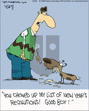The Flying McCoys on Thursday December 29, 2016 Comic Strip