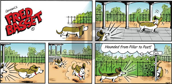 Fred Basset on Sunday July 24, 2011 Comic Strip