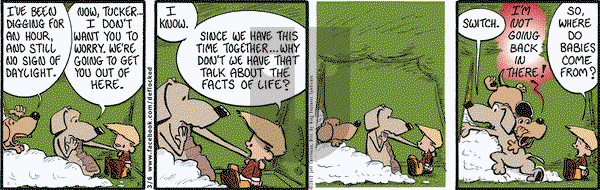 DeFlocked on Tuesday March 6, 2012 Comic Strip