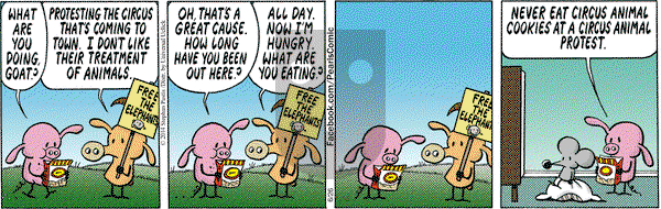 Pearls Before Swine on Thursday June 26, 2014 Comic Strip
