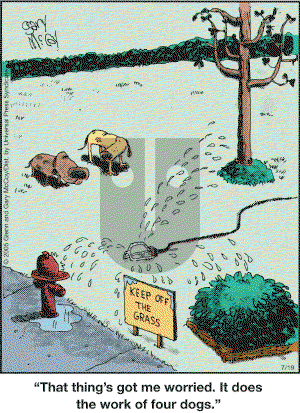 The Flying McCoys on Tuesday July 19, 2005 Comic Strip