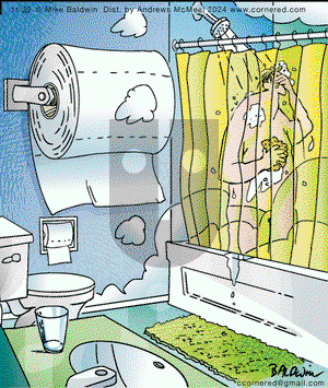 Cornered - Saturday November 30, 2024 Comic Strip