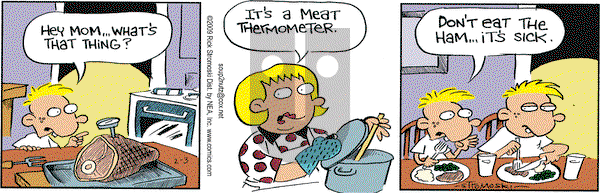 Soup to Nutz - Old on Tuesday February 3, 2009 Comic Strip