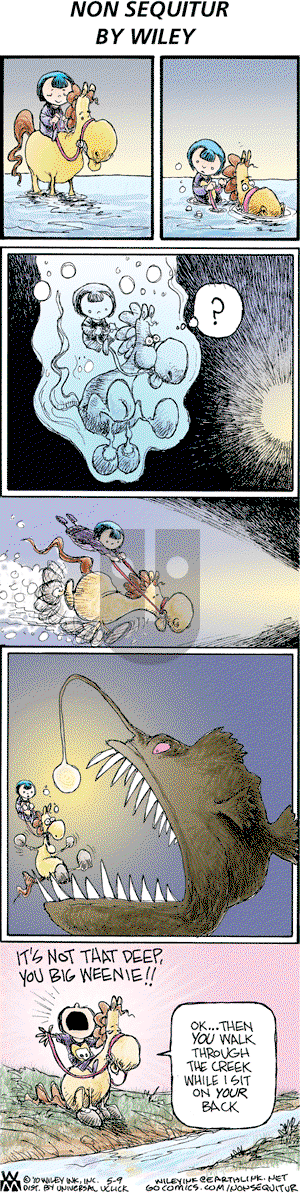 Non Sequitur on Sunday May 9, 2010 Comic Strip