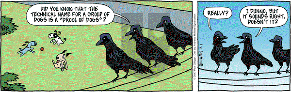 Pooch Cafe on Saturday July 1, 2017 Comic Strip
