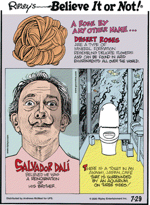 Ripley's Believe It or Not on Wednesday July 29, 2020 Comic Strip
