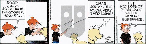 Red and Rover - Friday November 8, 2024 Comic Strip