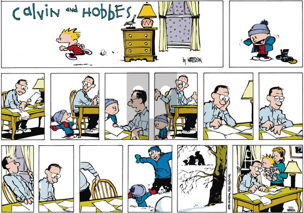 Calvin and Hobbes on Sunday January 14, 1990 Comic Strip