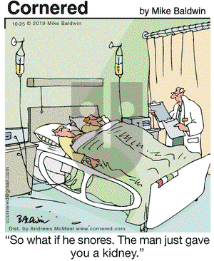 Cornered on Friday October 25, 2019 Comic Strip