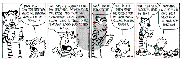 Calvin and Hobbes on Saturday November 4, 1989 Comic Strip