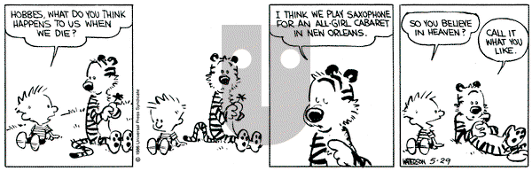Calvin and Hobbes on Wednesday May 29, 1991 Comic Strip