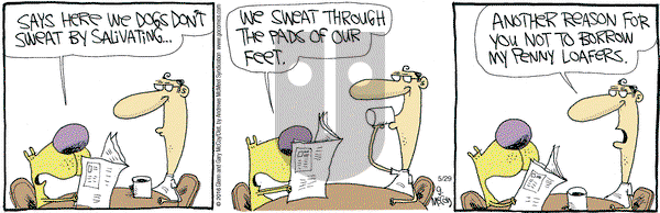 The Duplex - Monday May 29, 2023 Comic Strip