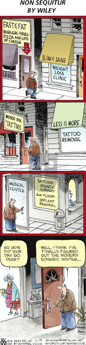 Non Sequitur on Sunday November 13, 2016 Comic Strip