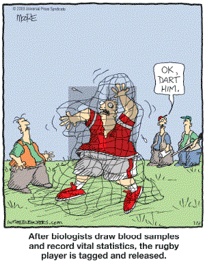 In the Bleachers - Tuesday January 9, 2007 Comic Strip