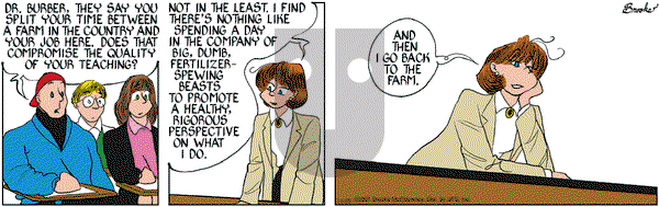 9 Chickweed Lane on Tuesday January 6, 2009 Comic Strip