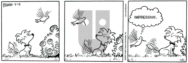 Grand Avenue on Saturday August 12, 2000 Comic Strip