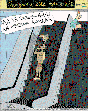 The Flying McCoys on Saturday March 15, 2025 Comic Strip