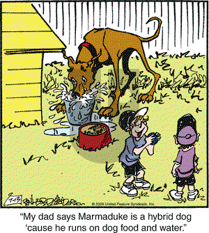 Marmaduke on Friday July 24, 2009 Comic Strip