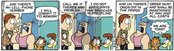 Garfield on Sunday February 17, 2008 Comic Strip