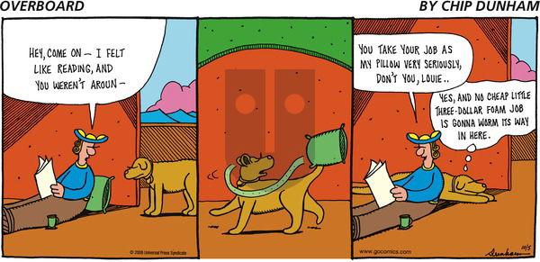 Overboard on Thursday October 23, 2008 Comic Strip