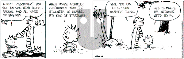 Calvin and Hobbes on Tuesday August 8, 1995 Comic Strip