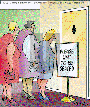 Cornered on Friday December 20, 2024 Comic Strip