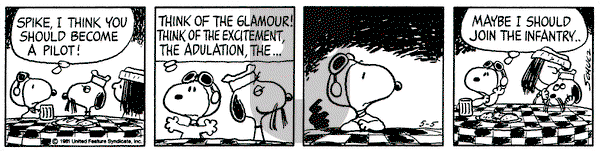 Peanuts - Tuesday May 5, 1981 Comic Strip